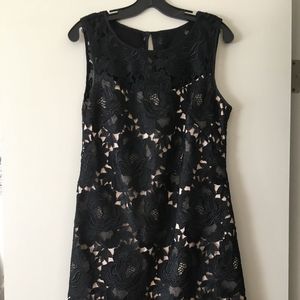 🎉HP🎉 WHBM Black Lace Dress